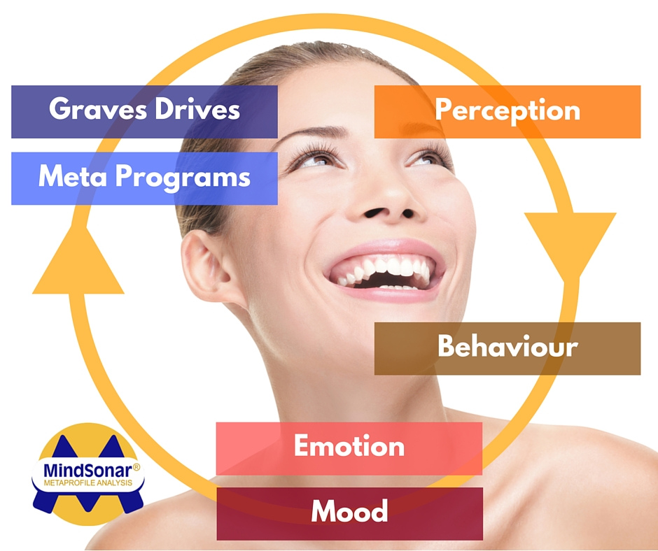 MindSonar psychometric tool: 13 thinking styles and 7 value types measured in a specific context